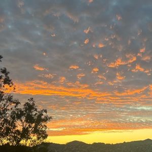 Meet your Posher, Connie